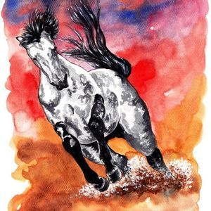 Meet your Posher, Jose